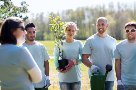group of volunteers with tree seedling in park