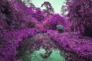 Foto op Aluminium Prachtig infrarood landschapsbeeld met alternatieve kleuren van bomen ove © veneratio