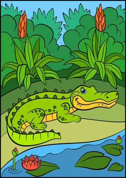 Cartoon animals for kids. Little cute alligator.