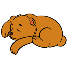Cartoon animals for kids. Little cute baby bear.