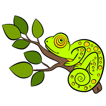 Cartoon animals for kids. Little cute green chameleon sits on the tree branch.