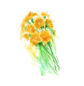Illustration of a bouquet of flowers in watercolor, yellow dandelions. On an isolated white background.