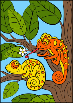 Cartoon animals for kids. Little cute orange chameleon gives flower to the yellow chameleon.