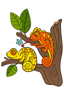 Cartoon animals for kids. Two little cute chameleons.