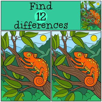 Children games: Find differences. Little cute orange chameleon sist on the tree brahch and smiles.