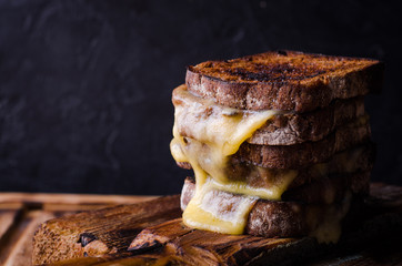 Brown bread toasts with grilled cheese on dark wooden background. Selective focus