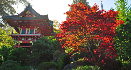 San Francisco: la Casa del tè nel Japanese Tea Garden il 16 giugno 2010. Creato nel 1894 all'interno del Golden Gate Park, è il più antico giardino pubblico giapponese negli Stati Uniti