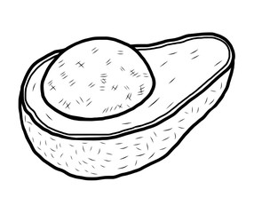 avocado / cartoon vector and illustration, black and white, hand drawn, sketch style, isolated on white background.