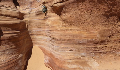 View of the Negev Desert in Israel