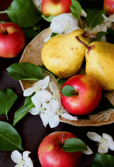 Sweet apples and pears