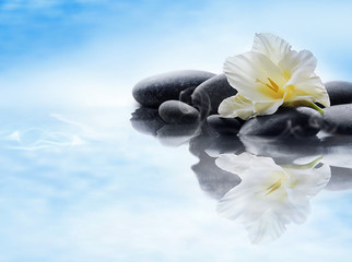 Spa stones with flower on water