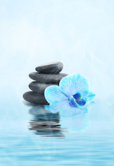 Beautiful blue orchid with pile of pebbles on water
