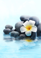 Fototapeta na wymiar Spa stones and flower on water