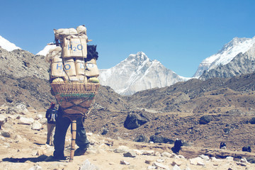 Sherpa carrying a large load on his back - obrazy, fototapety, plakaty