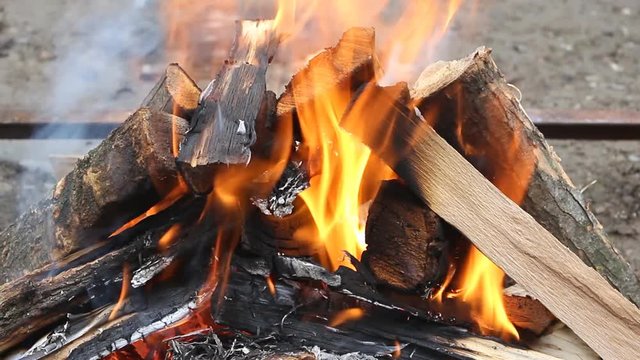  timelapse burning wood on a background of nature