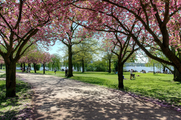 Hamburg - Alsterpark im Frühling