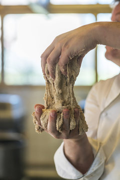 Hands Holding Bread Dough