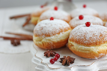 Fresh homemade donuts with powdered sugar, close up