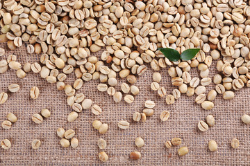 Green coffee beans on sackcloth material.