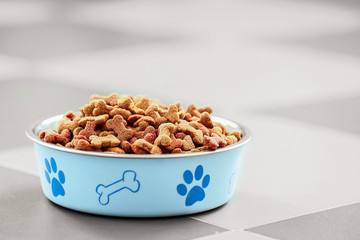 Pet food in a metal bowl on a floor.