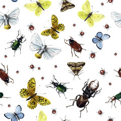 Schmetterlinge und Käfer - nahtloses, enloses  Muster - Aquarell