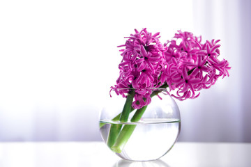 Hyacinth flowers on table in a vase