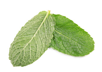 Fresh mint leaves on white background, top view