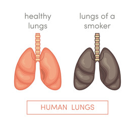 Smoker's lungs vector