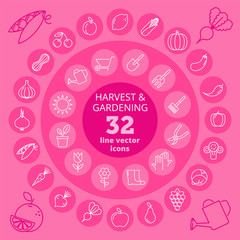 Fruit and vegetables icons, gardening tools and supplies icons. Vector thin line icon set. Garden harvest isolated elements for web, internet, publish infographic, presentations and social networks