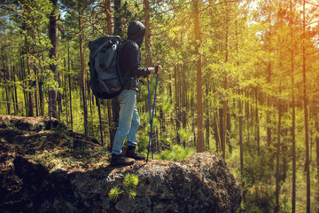 Hiker walking in a mountain forest
