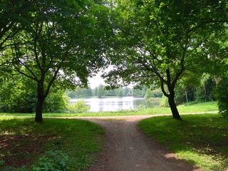 Weg zum See mit Bäumen an den Seiten und einfallendem Sonnenlicht