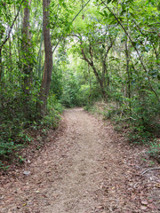 Natural small trail