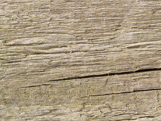 Surface of weathered desk.