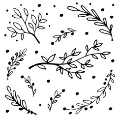 Set of hand drawn branches. Vector set