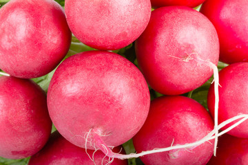 Closeup fresh radishes