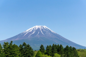 Fototapeta premium 富士山
