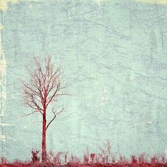 Surreal landscape with red single tree