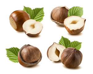 Hazelnut nut leaf set isolated on white background 7 as package design element