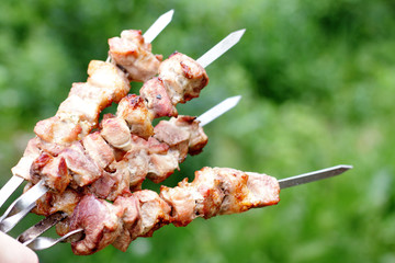 fragrant bouquet barbecue picnic/ background fitted on skewers and grilled over charcoal kebabs meat 
