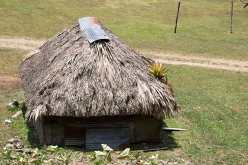 Research hut with thatched roof at Caracol