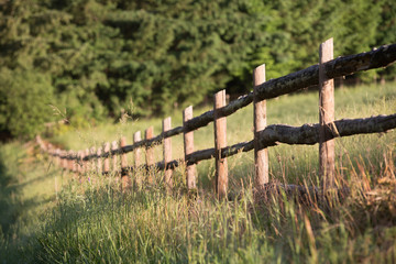Rustic pole fence