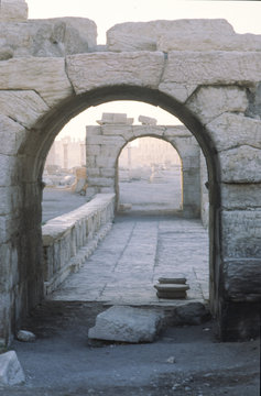 Palmyra, vintage picture