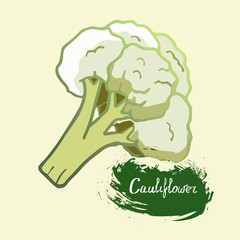 drawn vector cauliflower with signature