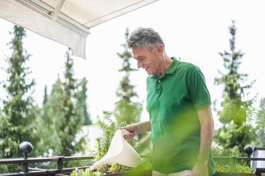 Smiling senior man on balcony watering flowers