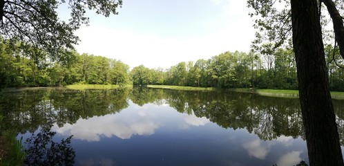 Przyroda © michalsen