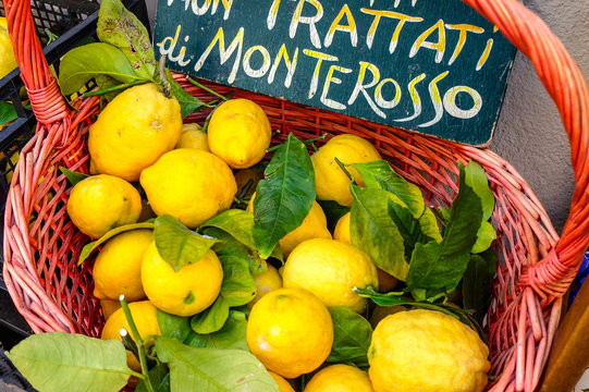 Limão Siciliano - Cinque Terre - Itália