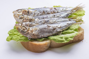 fried sardines on the plate