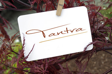 Roter japanischer Ahorn mit Tantra