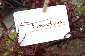 Roter japanischer Ahorn mit Tantra © Stockwerk-Fotodesign