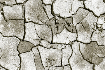 cracked earth as a background. texture